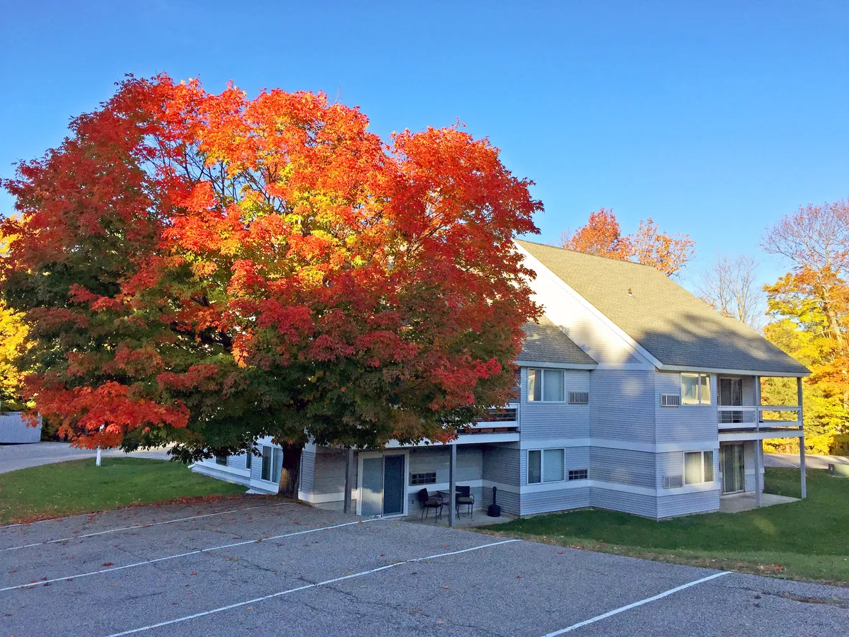 A lively exterior shot featuring a two-story apartment building framed by a vibrant red-leafed tree. The yard and balconies suggest spaces for socializing and relaxing after a day on the slopes.